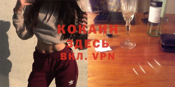 тгк Верея