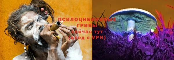 ПСИЛОЦИБИНОВЫЕ ГРИБЫ Волоколамск