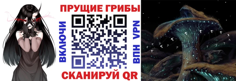 Псилоцибиновые грибы GOLDEN TEACHER  Петропавловск-Камчатский 